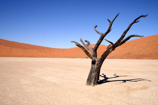 NAMIBIE