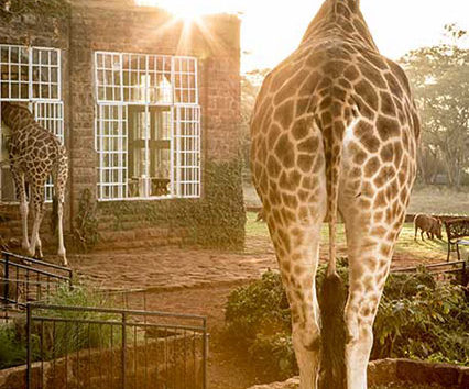 KENYA